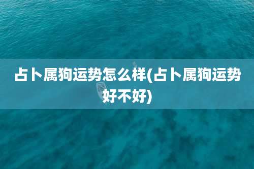 占卜属狗运势怎么样(占卜属狗运势好不好)
