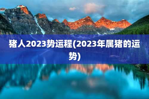 猪人2023势运程(2023年属猪的运势)