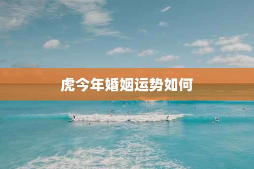 虎今年婚姻运势如何