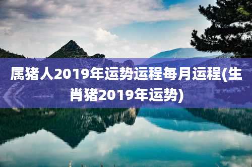 属猪人2019年运势运程每月运程(生肖猪2019年运势)