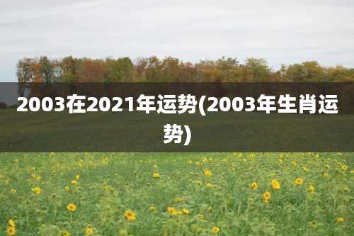 2003在2021年运势(2003年生肖运势)