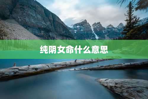 纯阴女命什么意思