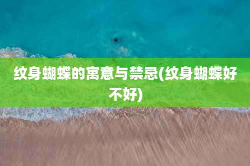 纹身蝴蝶的寓意与禁忌(纹身蝴蝶好不好)