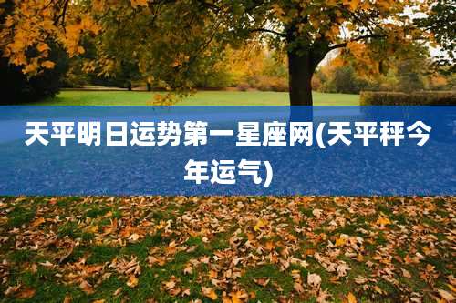 天平明日运势第一星座网(天平秤今年运气)