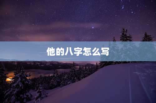 他的八字怎么写