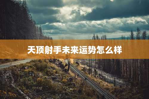 天顶射手未来运势怎么样