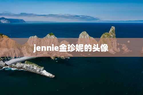 jennie金珍妮的头像
