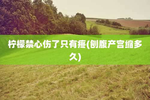 柠檬禁心伤了只有疼(刨腹产宫缩多久)