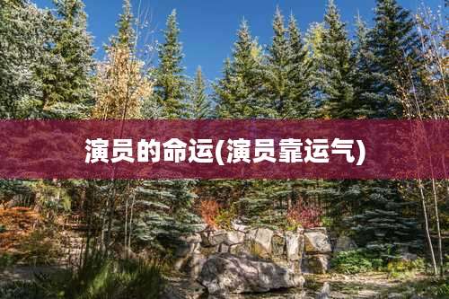 演员的命运(演员靠运气)