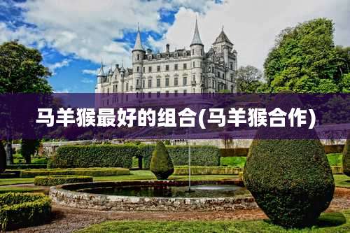 马羊猴最好的组合(马羊猴合作)