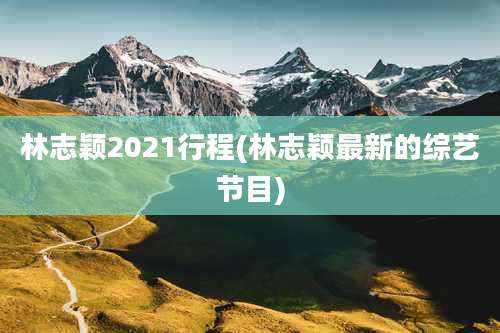 林志颖2021行程(林志颖最新的综艺节目)