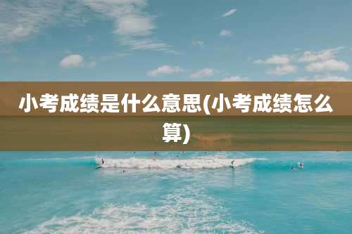 小考成绩是什么意思(小考成绩怎么算)