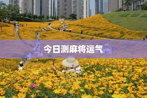 今日测麻将运气