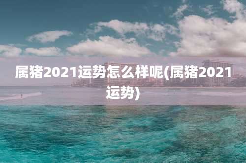 属猪2021运势怎么样呢(属猪2021运势)