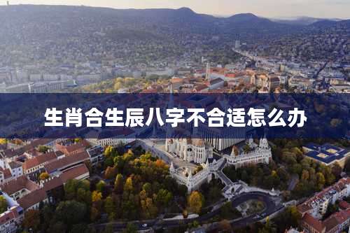 生肖合生辰八字不合适怎么办