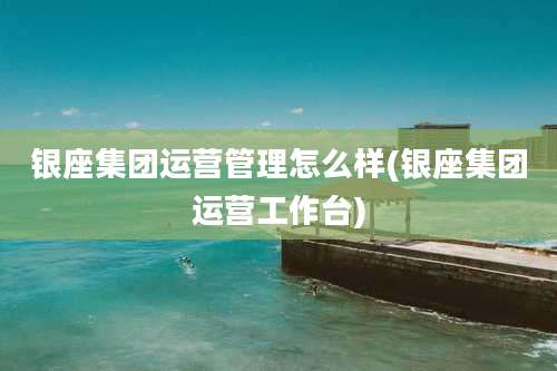 银座集团运营管理怎么样(银座集团运营工作台)