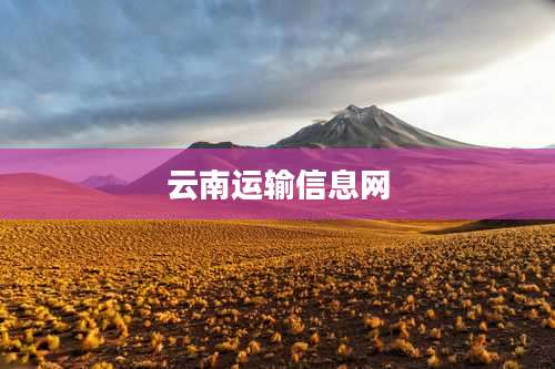 云南运输信息网