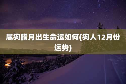 属狗腊月出生命运如何(狗人12月份运势)