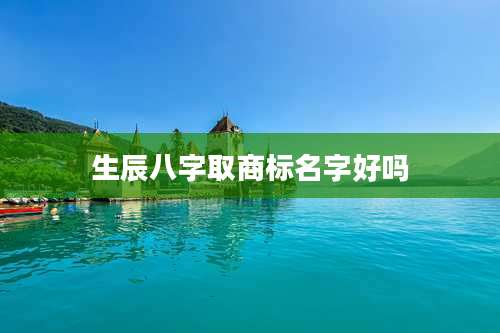 生辰八字取商标名字好吗