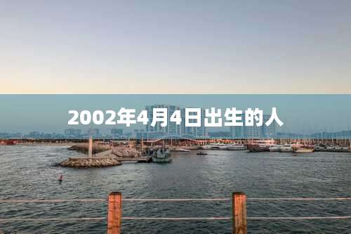 2002年4月4日出生的人