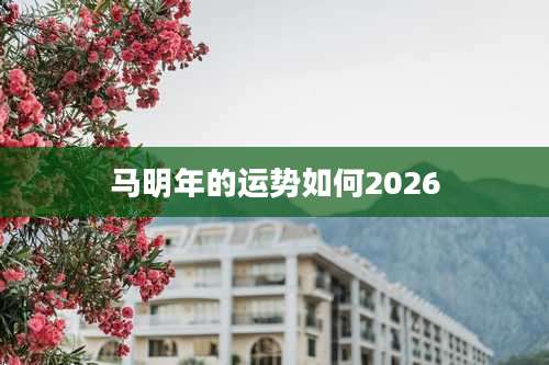 马明年的运势如何2026
