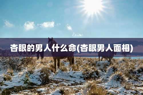 杏眼的男人什么命(杏眼男人面相)