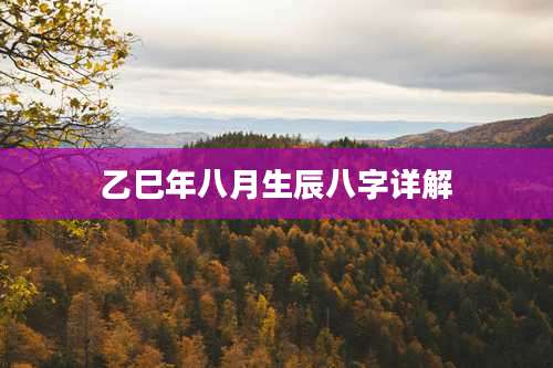 乙巳年八月生辰八字详解