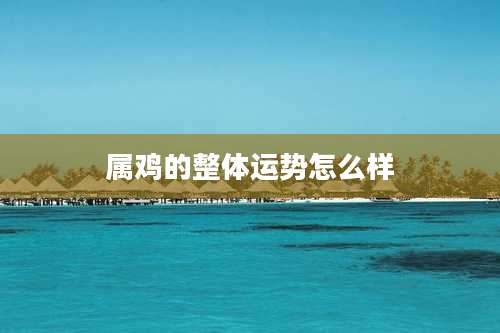 属鸡的整体运势怎么样