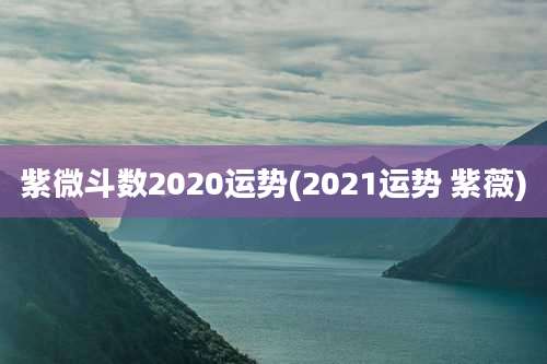 紫微斗数2020运势(2021运势 紫薇)