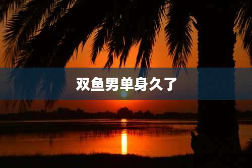 双鱼男单身久了