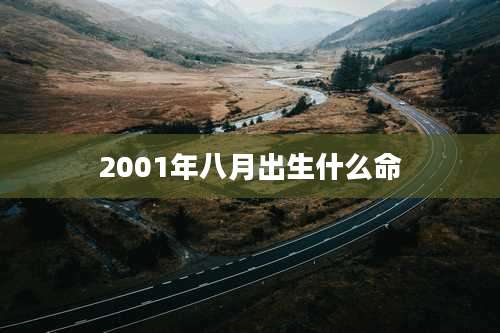 2001年八月出生什么命