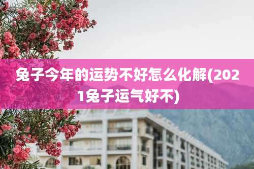 兔子今年的运势不好怎么化解(2021兔子运气好不)