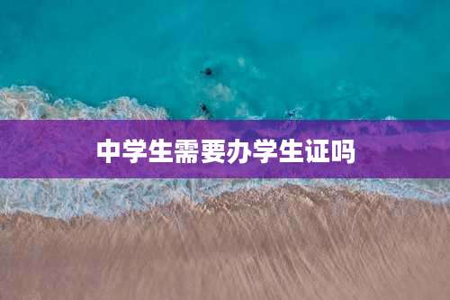 中学生需要办学生证吗