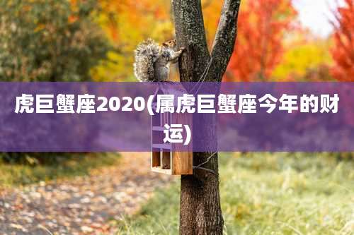 虎巨蟹座2020(属虎巨蟹座今年的财运)