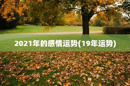 2021年的感情运势(19年运势)