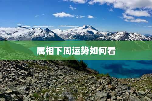 属相下周运势如何看