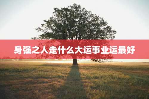 身强之人走什么大运事业运最好