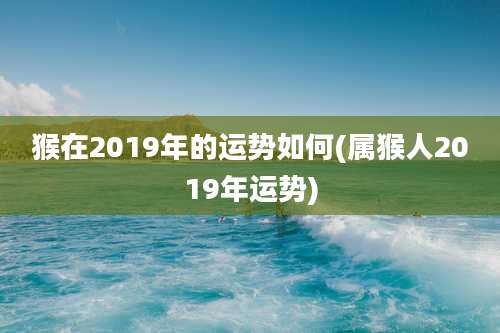 猴在2019年的运势如何(属猴人2019年运势)