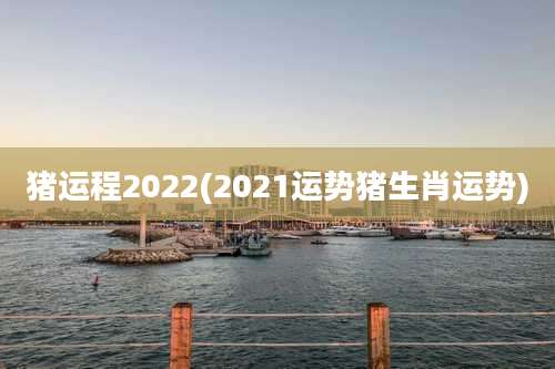 猪运程2022(2021运势猪生肖运势)