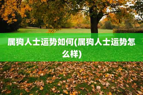 属狗人士运势如何(属狗人士运势怎么样)