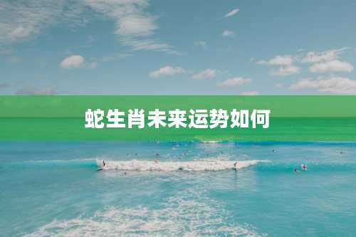 蛇生肖未来运势如何