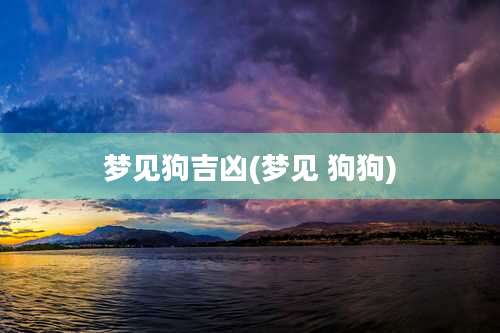梦见狗吉凶(梦见 狗狗)