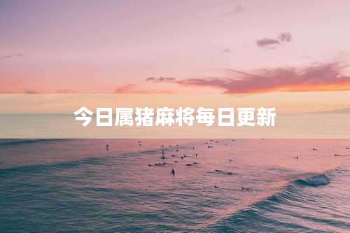 今日属猪麻将每日更新