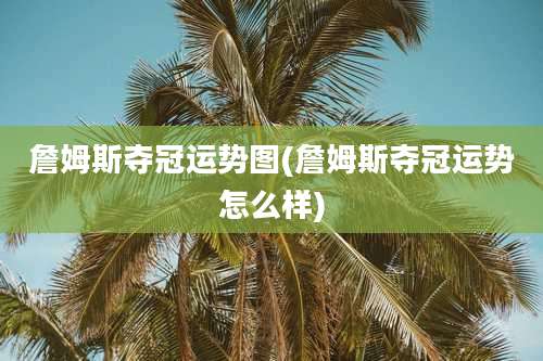 詹姆斯夺冠运势图(詹姆斯夺冠运势怎么样)