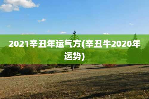 2021辛丑年运气方(辛丑牛2020年运势)