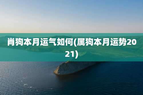 肖狗本月运气如何(属狗本月运势2021)