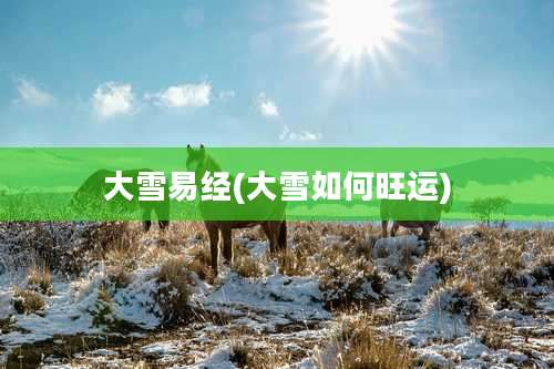 大雪易经(大雪如何旺运)