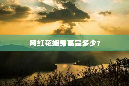 网红花姐身高是多少?