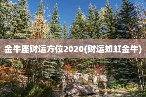 金牛座财运方位2020(财运如虹金牛)