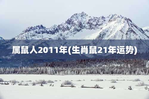 属鼠人2011年(生肖鼠21年运势)